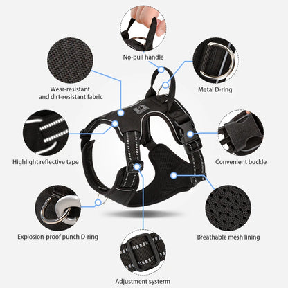 SafePaws Custom Harness