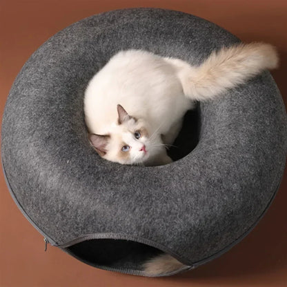 Cat House Dublin