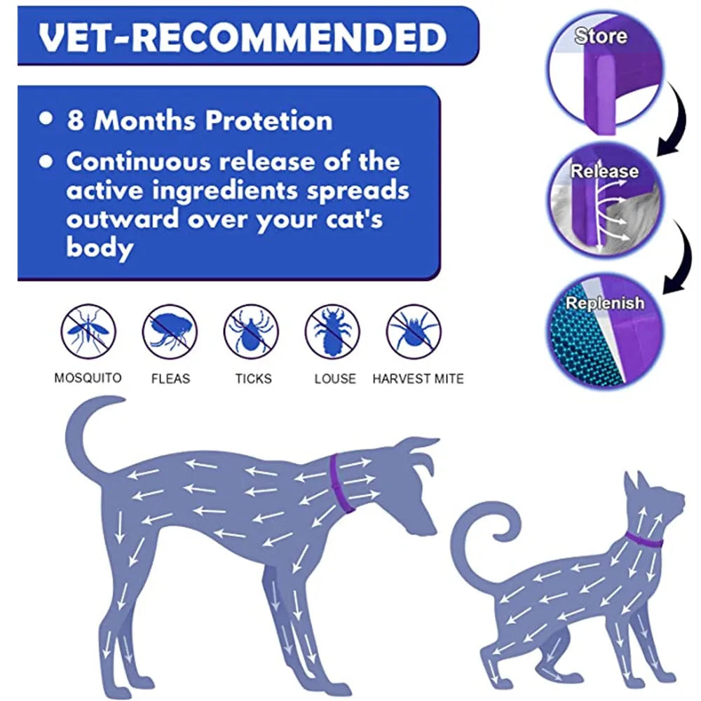 Dog Calming Collar Jolie