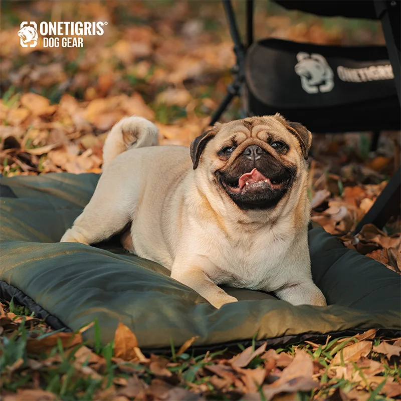 Dog Bed for Outdoors Ninoca