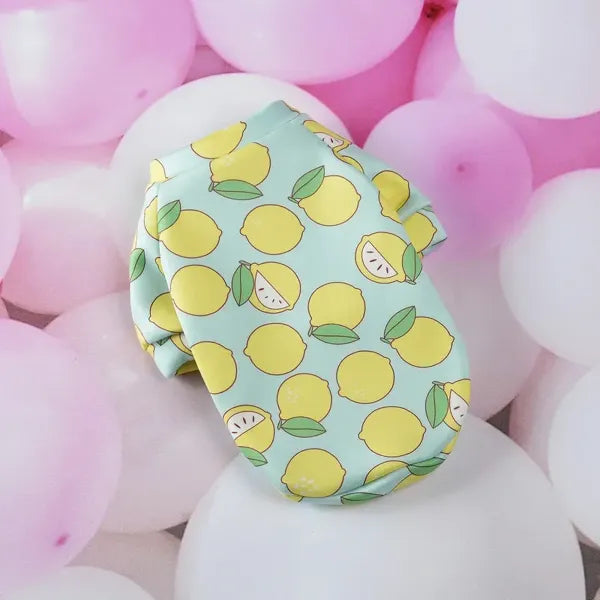 Dog Coats Venice Leoncio