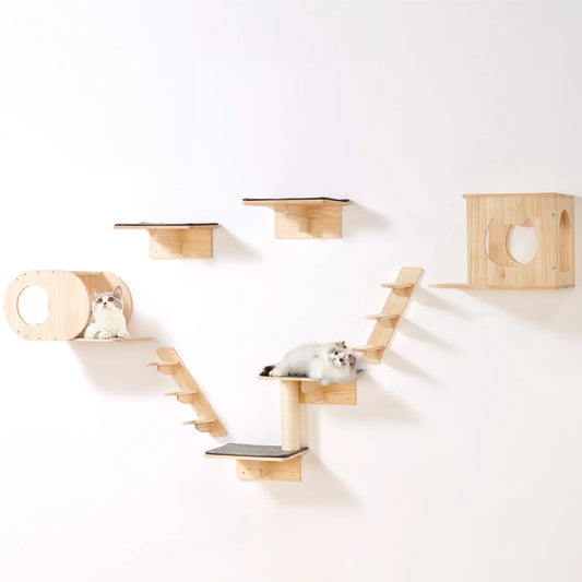 Modular Wall Cat Furniture – Fun Vertical Living - Miloco