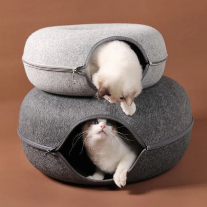 Cat House Dublin