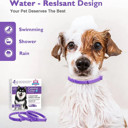 Dog Calming Collar Jolie