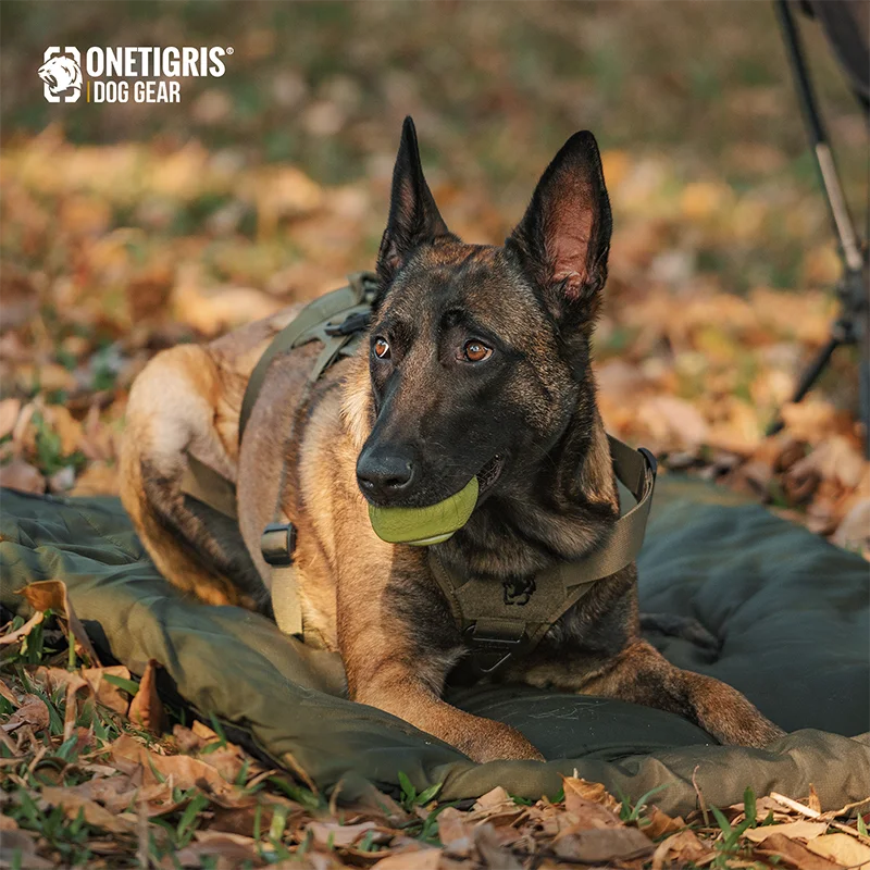 Dog Bed for Outdoors Ninoca