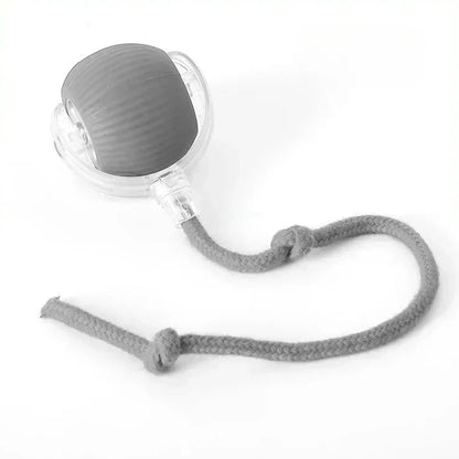 PawMotion™ Smart Interactive Pet Ball