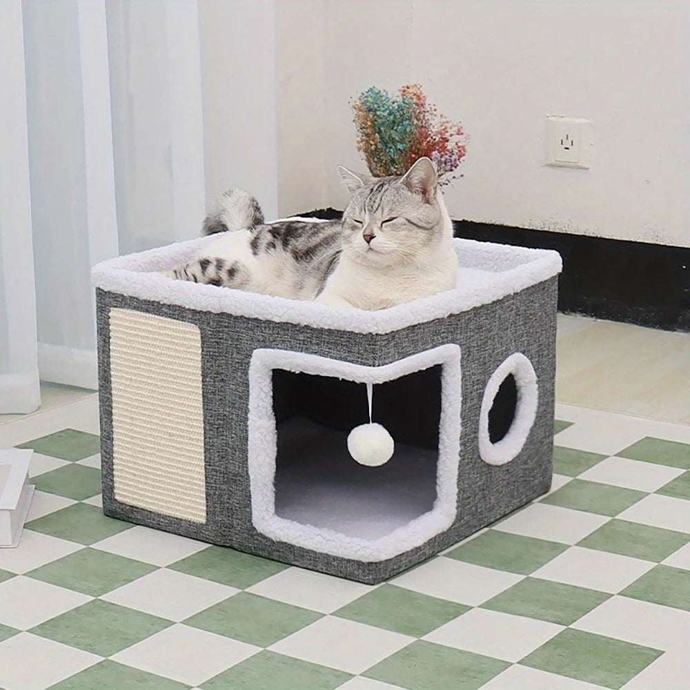 Cat House Leonardo
