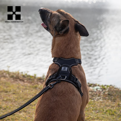 SafePaws Custom Harness