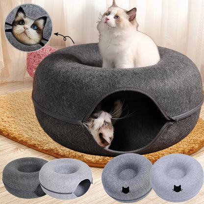 Cat House Dublin