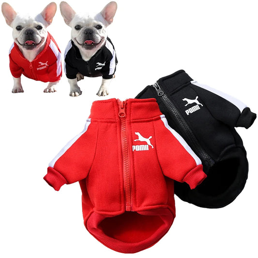 All-Star Dog Sweatshirt