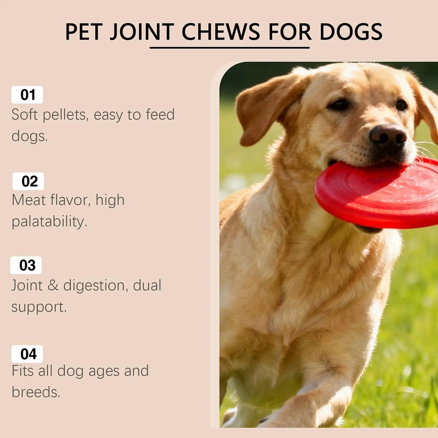 Dog Joint Support Chews – Easy Daily Wellness Care