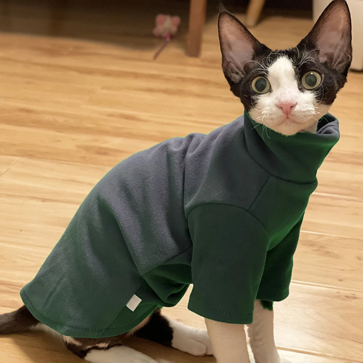 Premium Cotton Sphynx Cat Clothes – Warm and Soft
