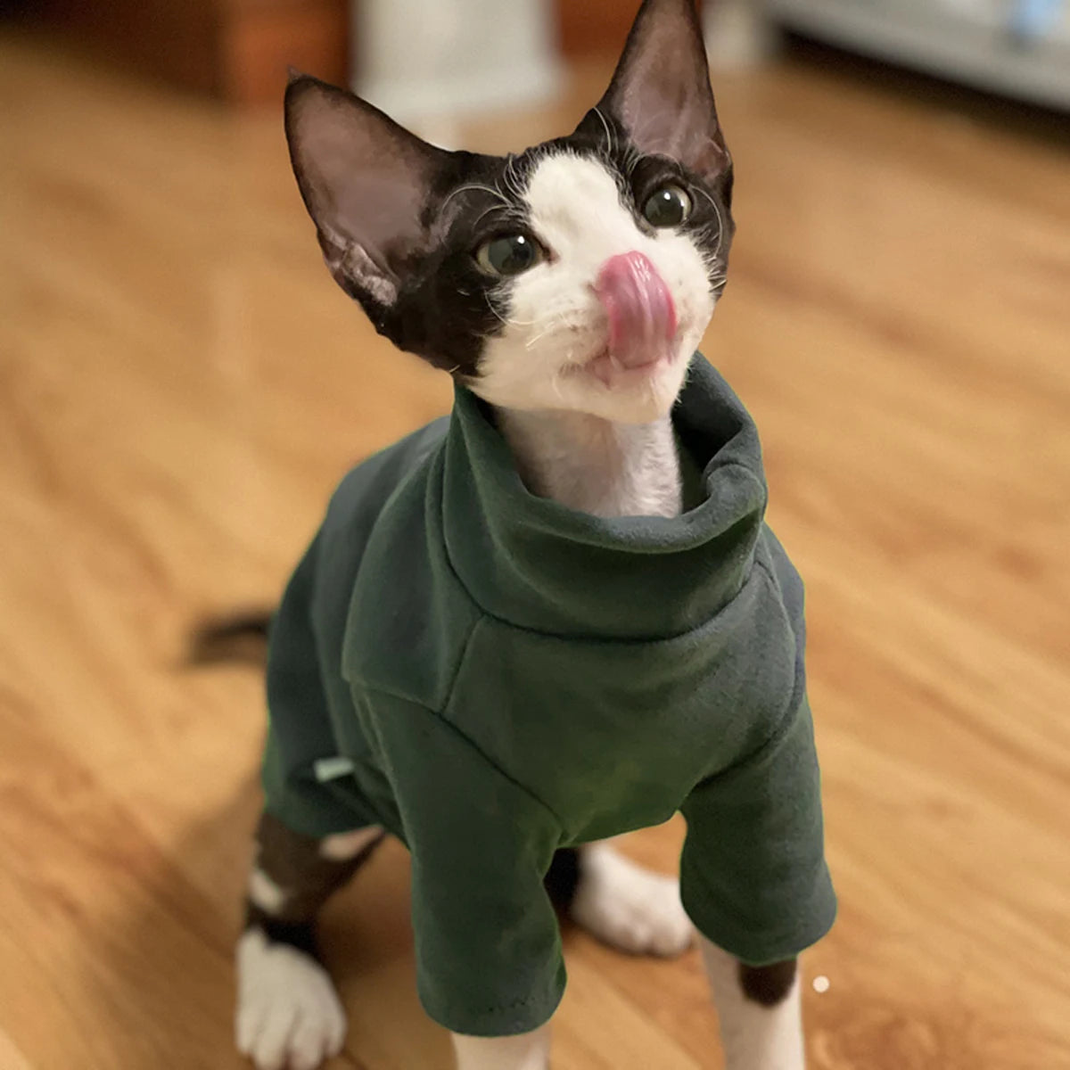 Premium Cotton Sphynx Cat Clothes – Warm and Soft