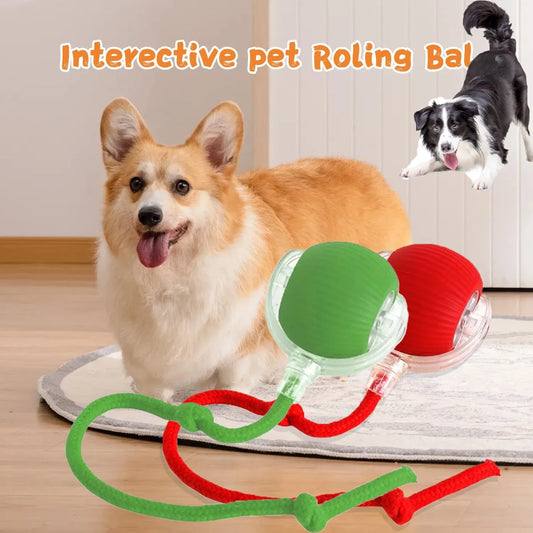 ZoomieBall