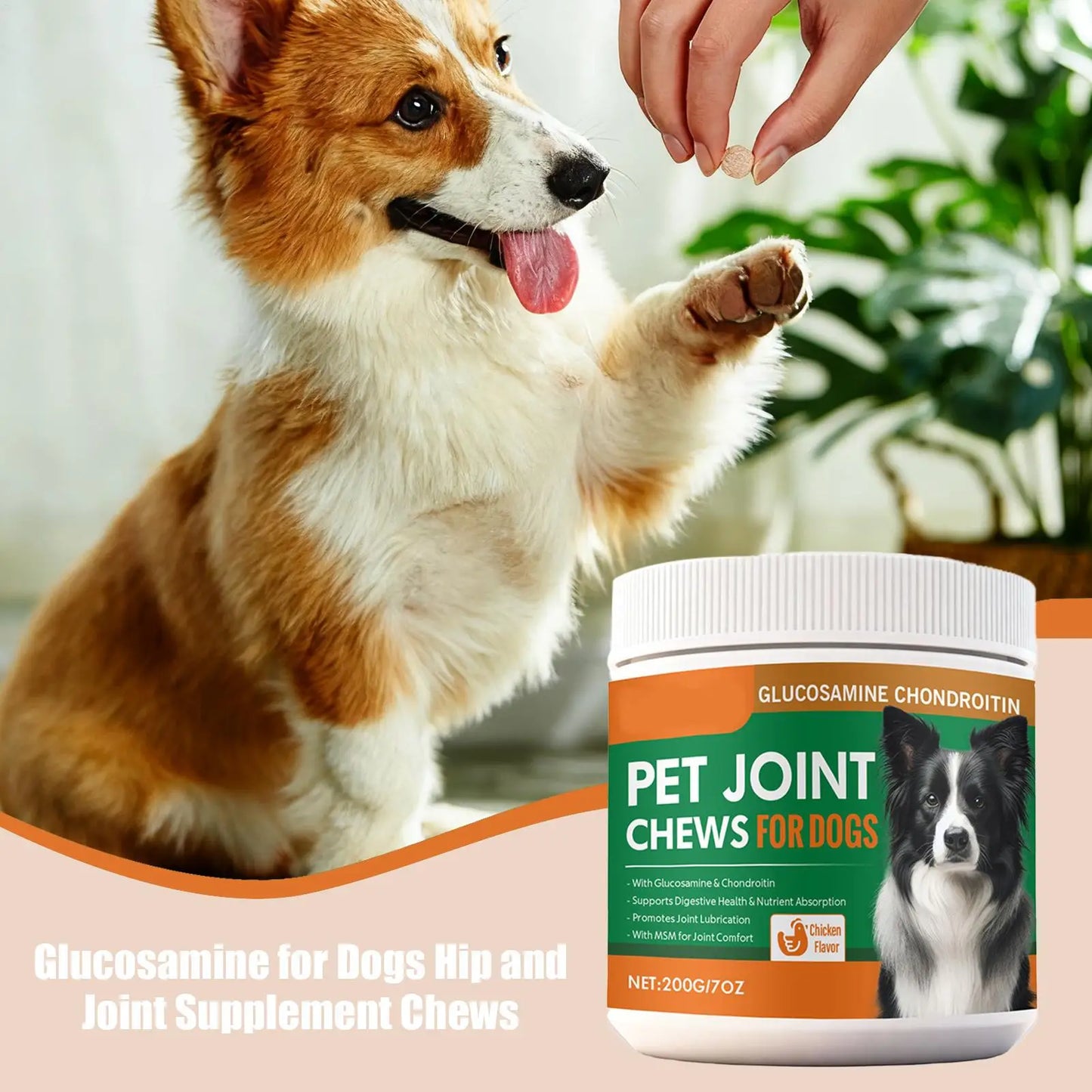 Dog Joint Support Chews – Easy Daily Wellness Care