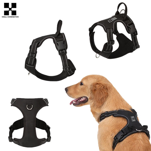 SafePaws Custom Harness
