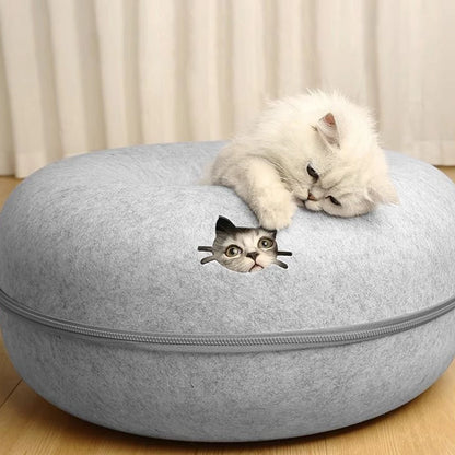 Cat House Dublin