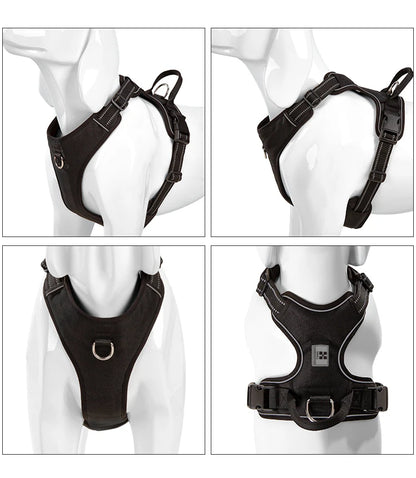 SafePaws Custom Harness