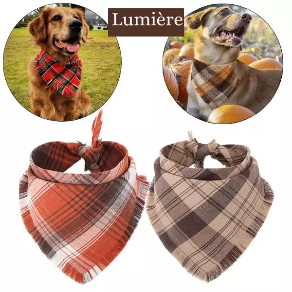 dog bandana lumiere