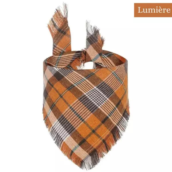 dog bandana orange 2