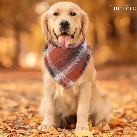 dog bandana lumiere orangeblack