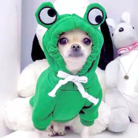 dog clothes hoodie froggy 4