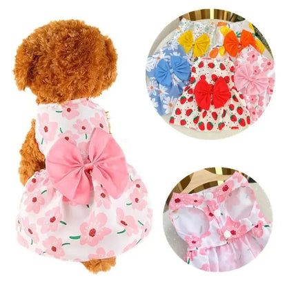 dog dress pink 1