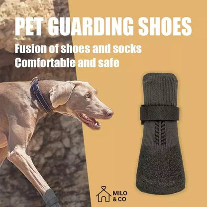 dog paw boots 01