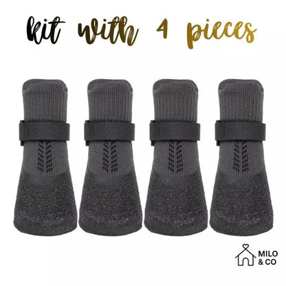 dog paw boots 05