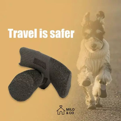 dog paw boots 06