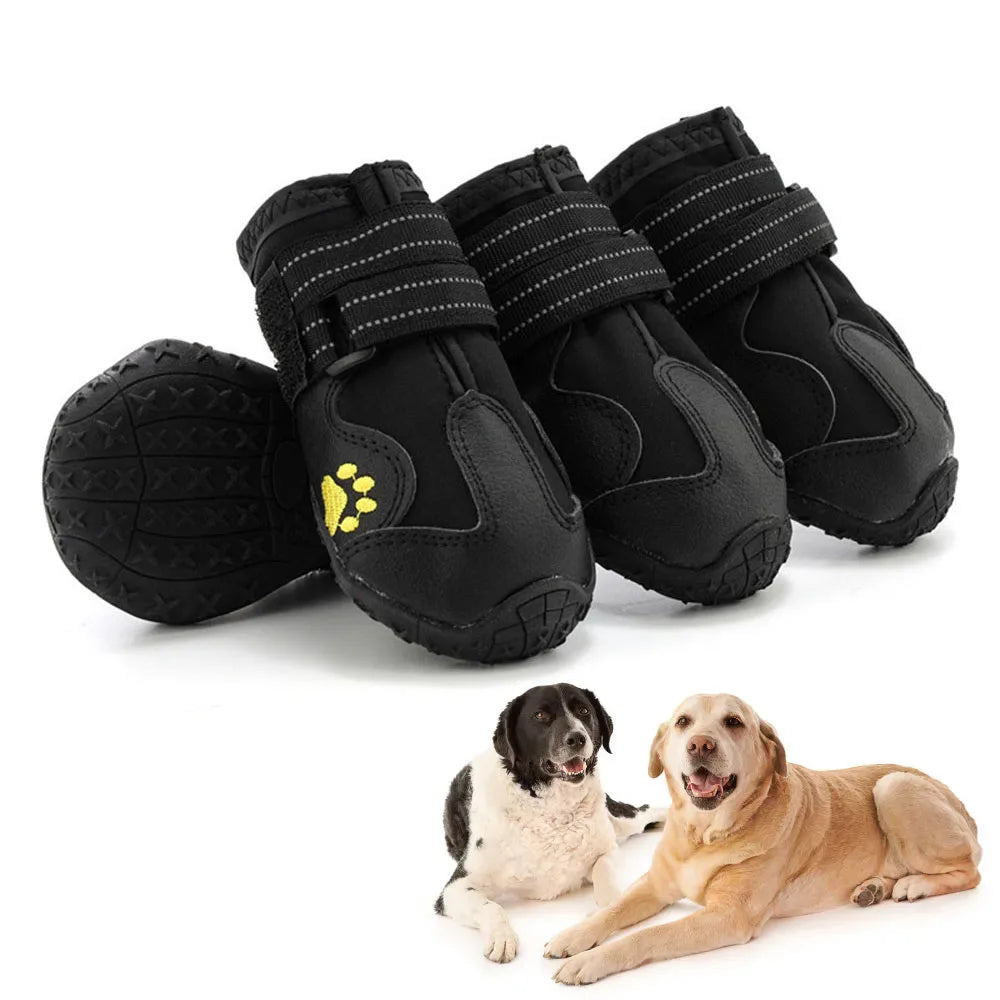 dog paw boots 1