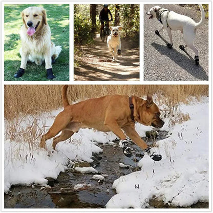 dog paw boots 5