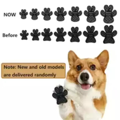dog protection 3