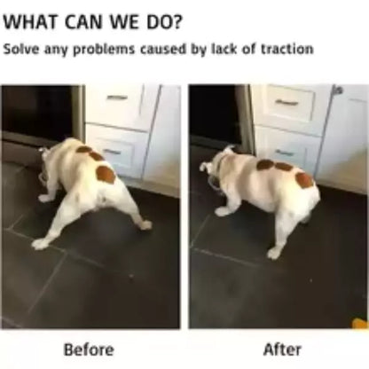 dog protection 6