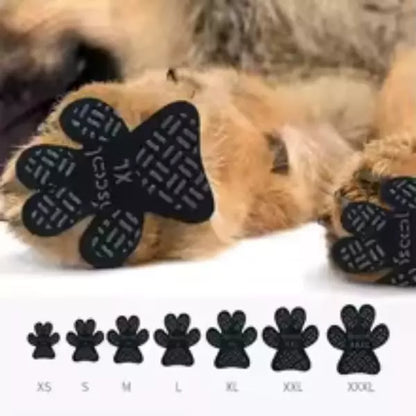 dog protection 7