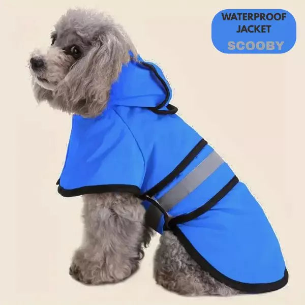 dog raincoats max blue