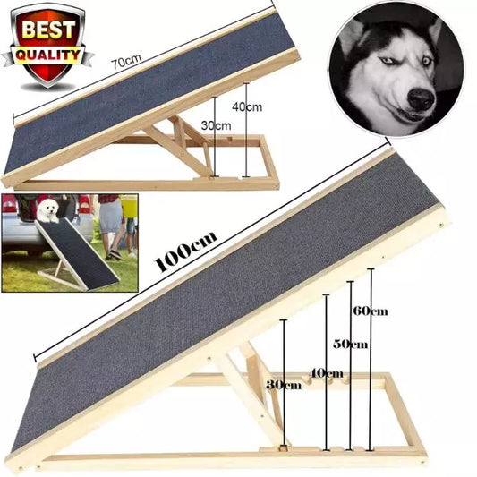 dog ramp sanchez 1