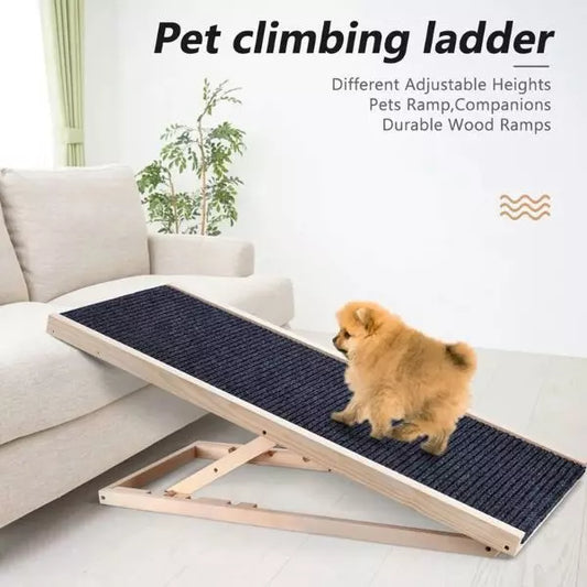 dog ramp sanchez ladder