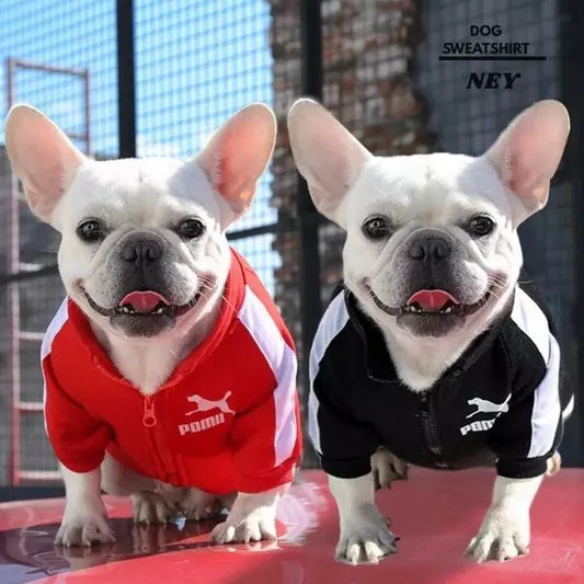 dog sweatshirt ney 2