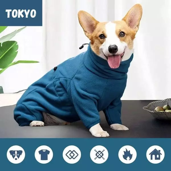 dog winter coat blue 1