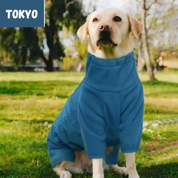 dog winter coat blue 