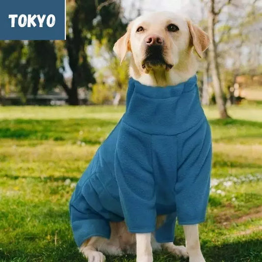 dog winter coat blue 