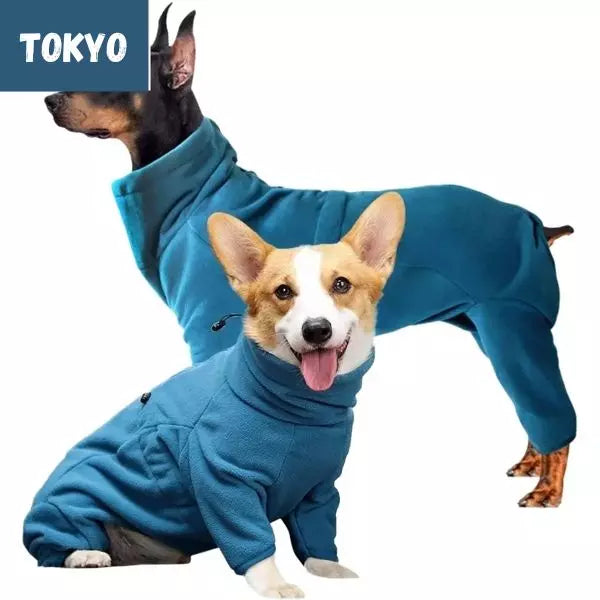 dog winter coat blue 4