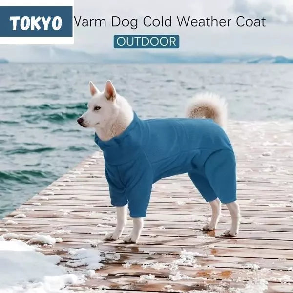 dog winter coat outdoor